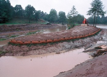 Mise en place de dispositifs végétaux de protection des berges 