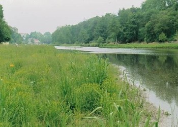 Restauration hydroécologique d‘étangs 