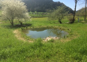 Réalisation de milieux et de structures favorables à la faune non piscicole (batraciens/reptiles) à proximité du cours d‘eau