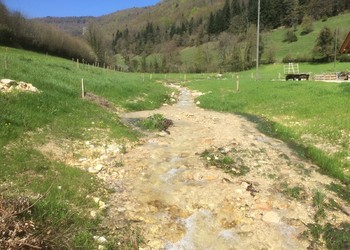 Morphologie du cours d‘eau 7 mois après la réalisation des travaux