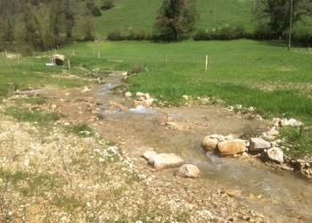 Morphologie du cours d‘eau 7 mois après la réalisation des travaux