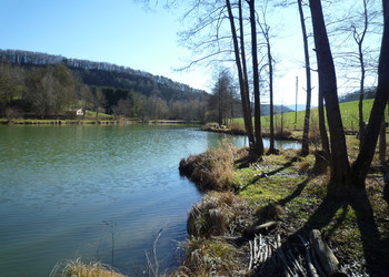 Berge ouest (février 2014)