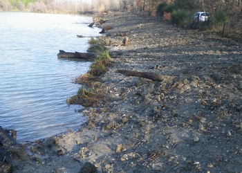 Récupération de végétaux puis plantations sur berges gravière Joly (janvier 2015 )