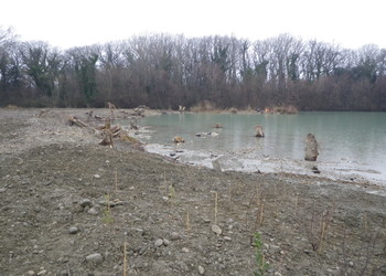 Aménagement des berges en pente douce sur gravière Joly (janvier 2015)