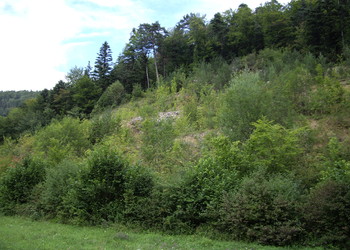 Réaménagement de carrières