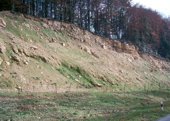 Fin des travaux de génie biologique (1987)