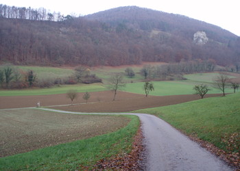 Vue sur le site d'étude