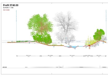 Profil type avec décalage de l‘espace sur la rive non bâtie