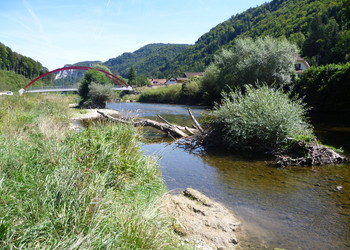 Développement de milieux naturels diversifiés après revitalisation