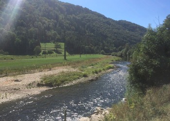 Protection contre les crues et revitalisation