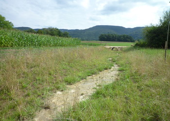 Ruisseau du Cratat, un an après sa mise à ciel ouvert