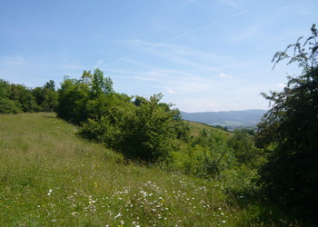 Pâturage sec d’importance régionale dans le secteur du Bois de Chaux