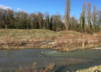 L'Aire après revitalisation (février 2018)