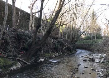 Etat initial du Foron à Gaillard (15.03.2017)