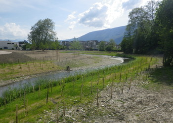 Physionomie du nouveau lit du Tillet en fin de travaux (février 2014)