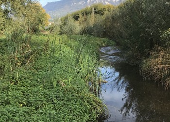 Après travaux (septembre 2017)