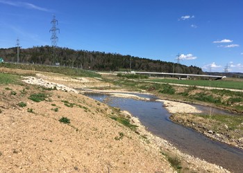 Secteur revitalisé 1 année après terrassements (2017)