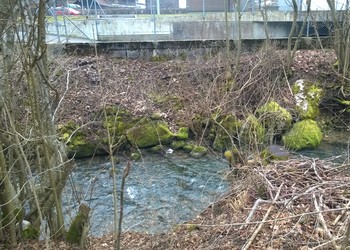 PLAN D'ENTRETIEN COURCHAPOIX