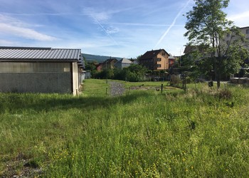 Vue d‘ensemble du tronçon s‘écoulant sous terre (avant travaux; mai 2017)