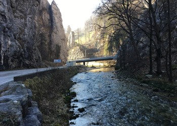 Etat initial de la berge (présence de l‘ancienne route cantonale et des enrochements de berge; février 2017)