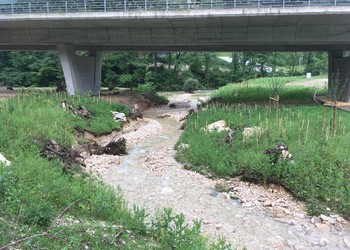 Morphologie du ruisseau 4 mois après travaux