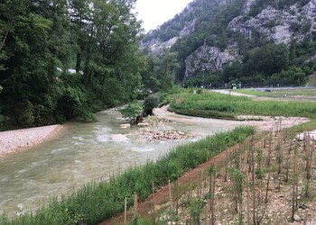 Structure de la confluence 4 mois après travaux