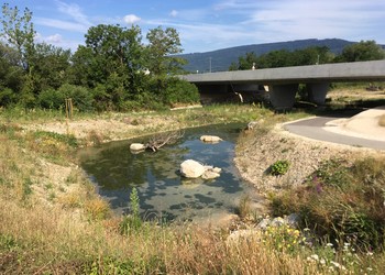 Zone d‘infiltration amont six mois après les travaux