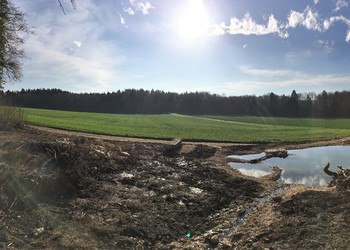 Vue d‘ensemble de la mare 3 mois après travaux (avril 2018)