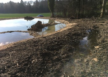 Réalisation de petites dépressions humides à proximité de la mare (avril 2018)