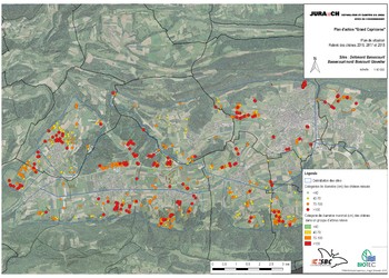 Carte des chênes inventoriés, ici pour la région Ouest de la Vallée de Delémont