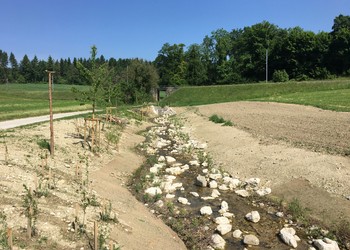 Remise à ciel ouvert, juste après la fin des travaux de végétalisation (mai 2017)