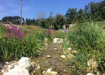 revitalisation de ruisseaux