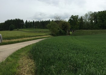 Avant travaux, cours d’eau sous tuyau