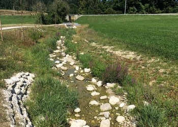 Vue de la partie amont six mois après la fin des travaux (août 2017)