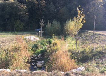 Vue de la partie aval après une année (octobre 2018)