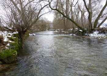 Etat initial de la Birse en aval de la confluence avec la Scheulte