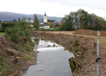 Etat initial des berges de la Scheulte après abattages (secteur Gravière – vue vers l’aval)