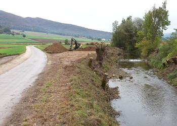 Etat initial des berges de la Scheulte après abattages (secteur Gravière – vue vers l’amont)