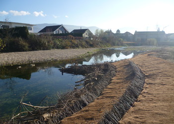 Travaux de stabilisation végétale et ouvrage en bois mort pour diversification du pied de berge