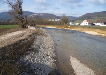 Travaux de plantation en cours sur la Birse