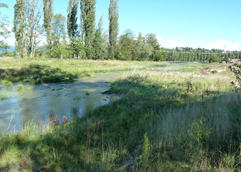 Une mosaïque de milieux influencée par l‘eau