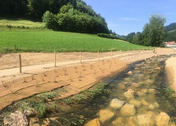 Vue du ruisseau de contournement depuis l'amont