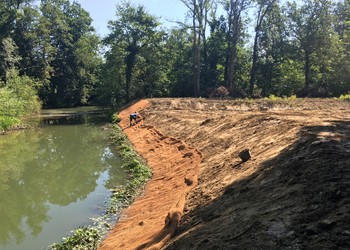 Travaux (juillet 2019) – Protection du pied berge en amont du bras secondaire avec des ramilles mortes et du géotextile biodégradable.