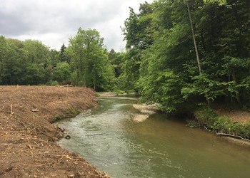 Etat après travaux de défrichement (berge et rive droite). 