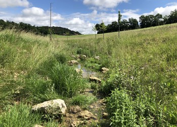Développement de structures naturelles sur les berges et les rives (2018)