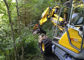 Prélèvement des blocs sur le côteau de la vallée du Doubs