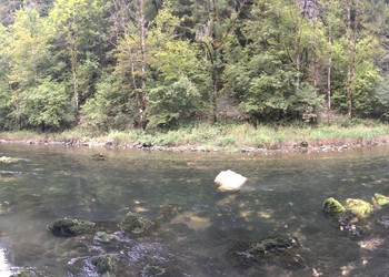 Mise en place des blocs sur le lit du Doubs