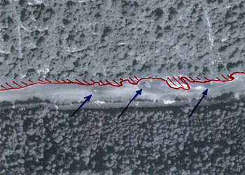 Structures minérales d’importants volumes (flèches bleues) et variabilité de la largeur (trait rouge) en 1951 avant la construction du barrage et de l'usine hydroélectrique