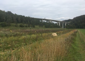 Aménagement d‘une haie multistratifiée et semis d‘une prairie fleurie