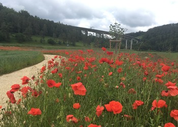 Etat après déconstruction de l‘ancienne route cantonale